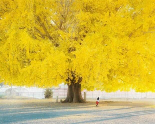 Awesome Pictures You Shouldn’t Miss #164 (20 photos)