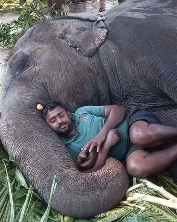 Awesome Pictures You Shouldn’t Miss #165 (23 photos)