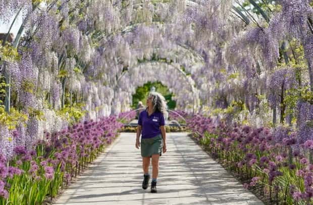 Awesome Pictures You Shouldn’t Miss #164 (20 photos)