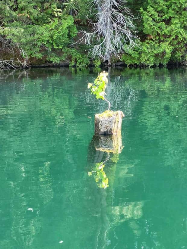 Awesome Pictures You Shouldn’t Miss #167 (22 photos)