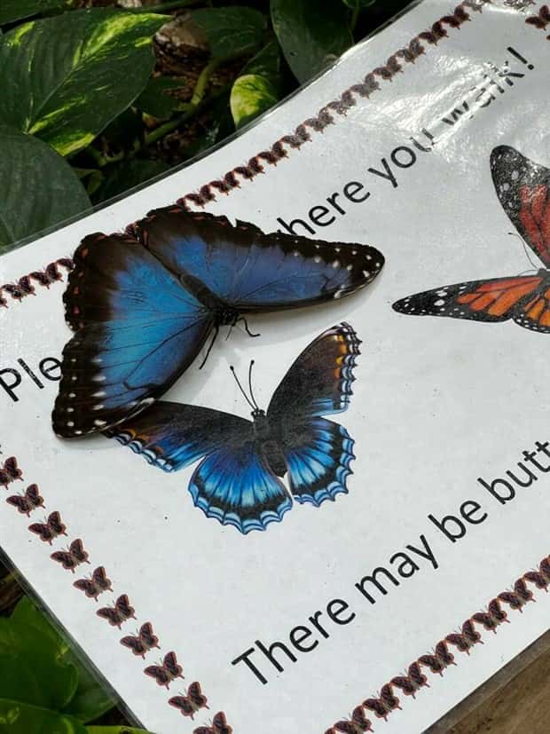 Awesome Pictures You Shouldn’t Miss #167 (22 photos)