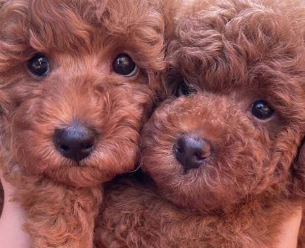 Awesome Pictures You Shouldn’t Miss #165 (23 photos)