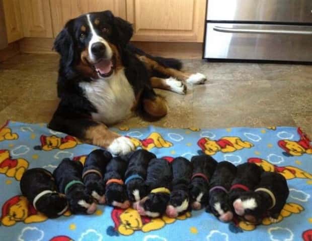 Awesome Pictures You Shouldn’t Miss #165 (23 photos)