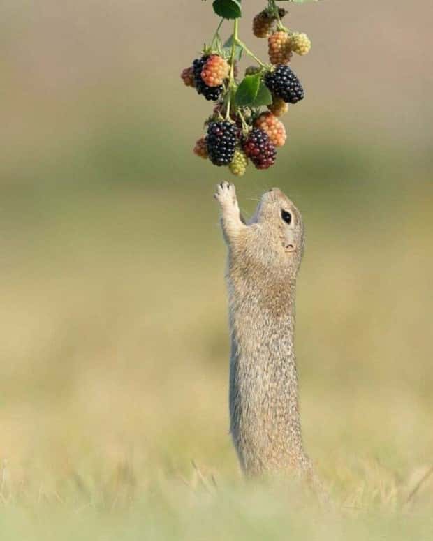 Awesome Pictures You Shouldn’t Miss #167 (22 photos)