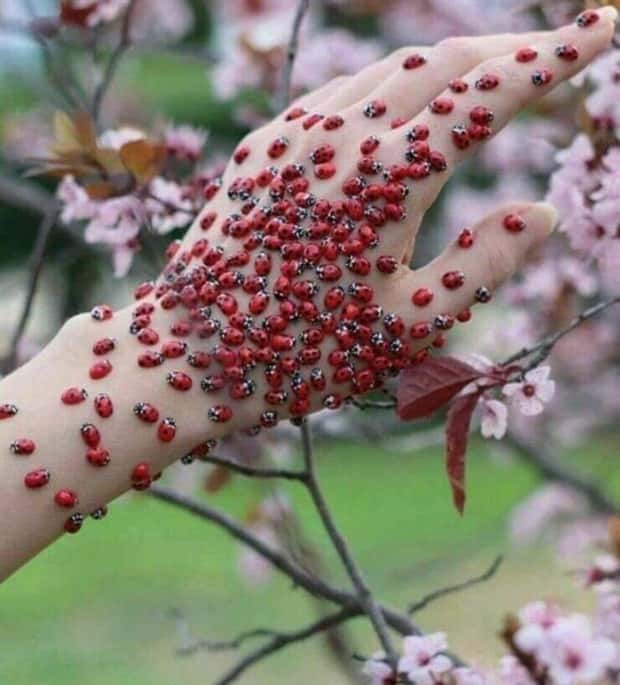 Awesome Pictures You Shouldn’t Miss #164 (20 photos)