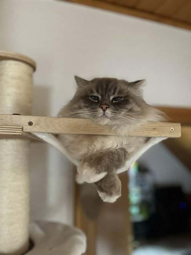 Awesome Pictures You Shouldn’t Miss #164 (20 photos)