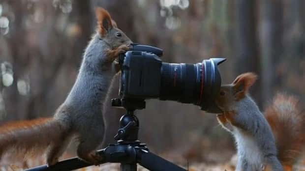 Awesome Pictures You Shouldn’t Miss #166 (21 photos)