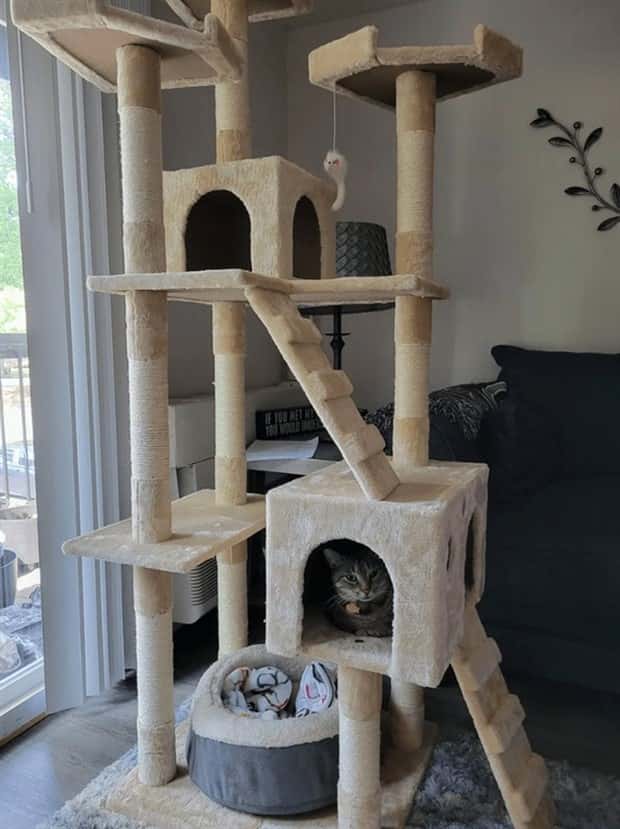 cat trees 1 These Cat Trees Beat Your Living Space (25 photos)