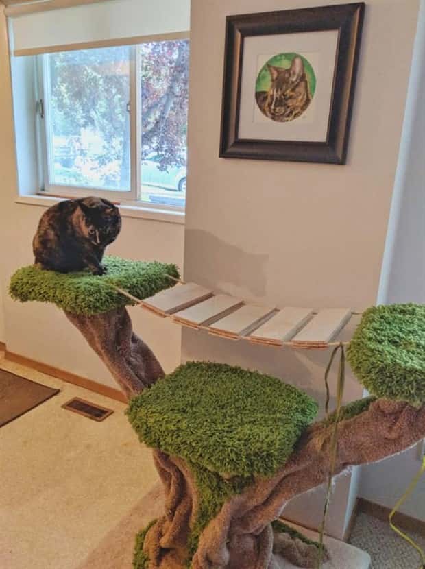 cat trees 10 These Cat Trees Beat Your Living Space (25 photos)