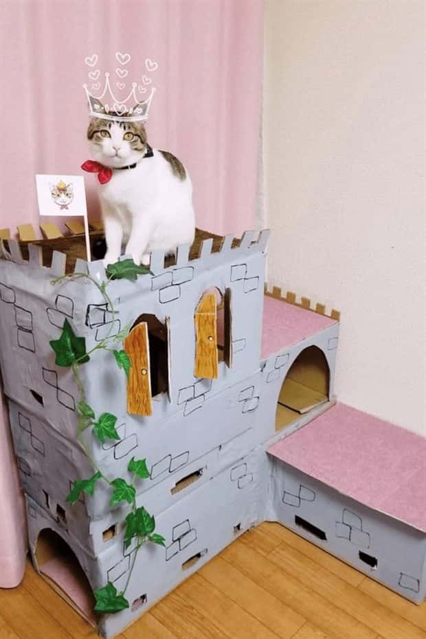 cat trees 11 These Cat Trees Beat Your Living Space (25 photos)