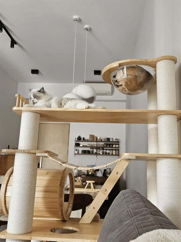cat trees 13 These Cat Trees Beat Your Living Space (25 photos)
