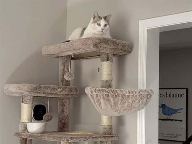 cat trees 14 These Cat Trees Beat Your Living Space (25 photos)