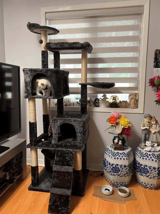 cat trees 15 These Cat Trees Beat Your Living Space (25 photos)
