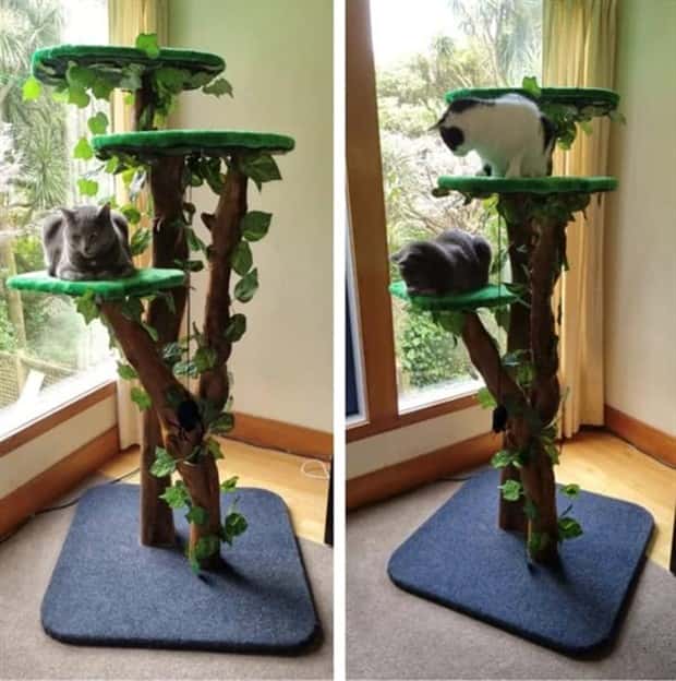 cat trees 16 These Cat Trees Beat Your Living Space (25 photos)