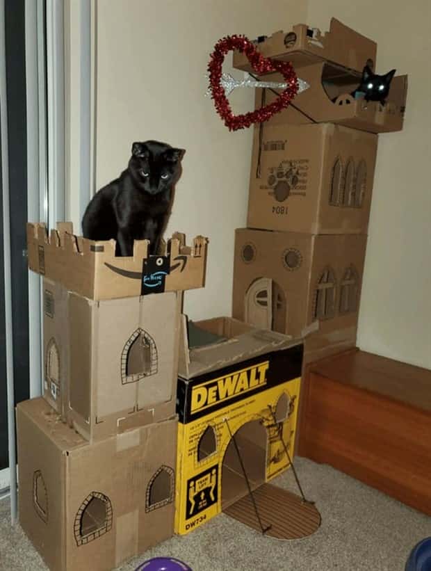 cat trees 19 These Cat Trees Beat Your Living Space (25 photos)