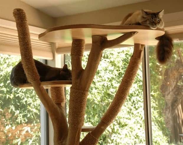 cat trees 2 These Cat Trees Beat Your Living Space (25 photos)