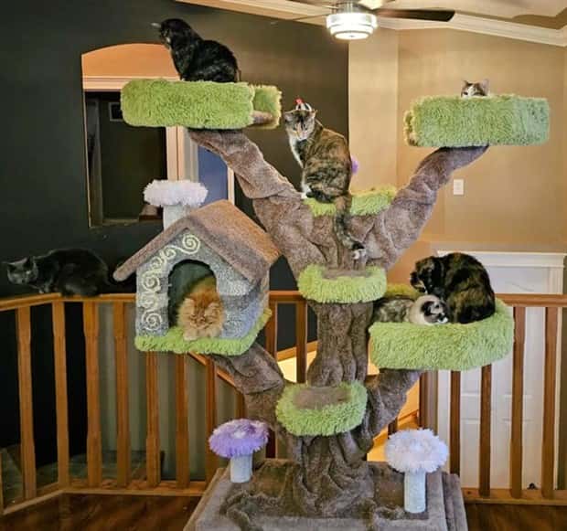 cat trees 21 These Cat Trees Beat Your Living Space (25 photos)