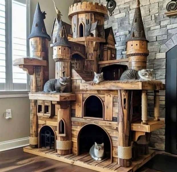 cat trees 4 These Cat Trees Beat Your Living Space (25 photos)