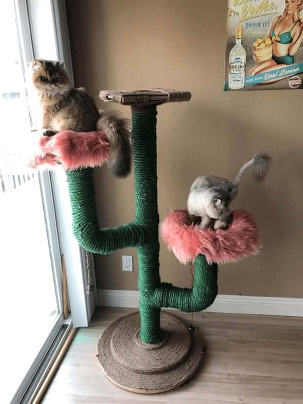 cat trees 5 These Cat Trees Beat Your Living Space (25 photos)