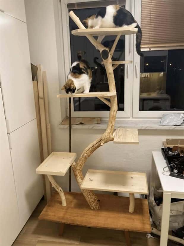 cat trees 6 These Cat Trees Beat Your Living Space (25 photos)