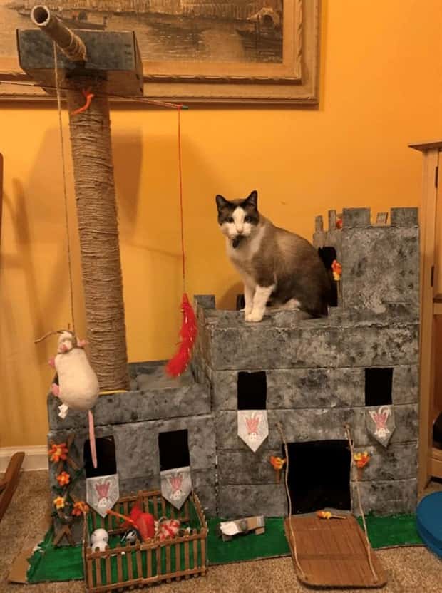 cat trees 7 These Cat Trees Beat Your Living Space (25 photos)