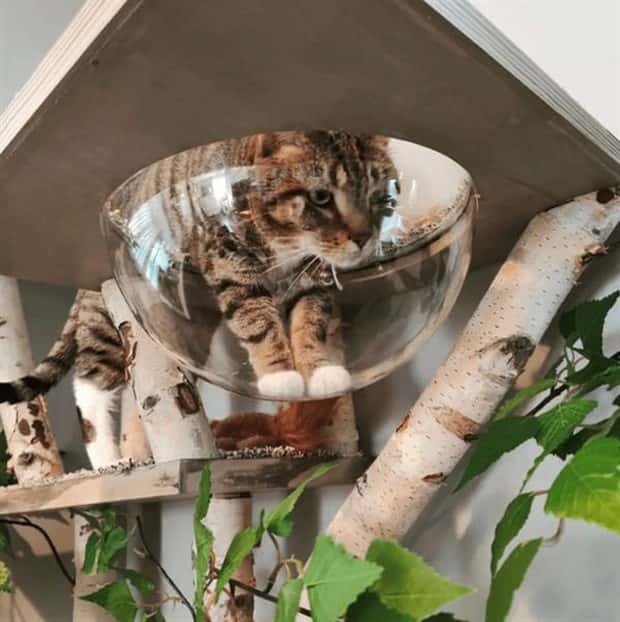 cat trees 9 These Cat Trees Beat Your Living Space (25 photos)