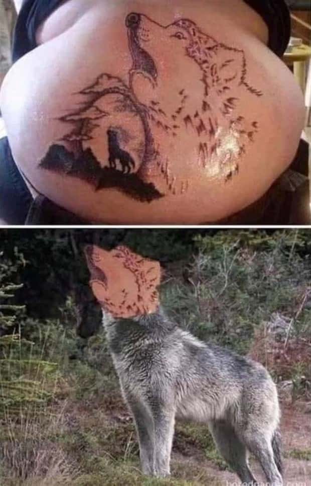 crappy tattoos 12 Crappy Tattoos that Shouldn’t Have Been Done #35 (19 photos)