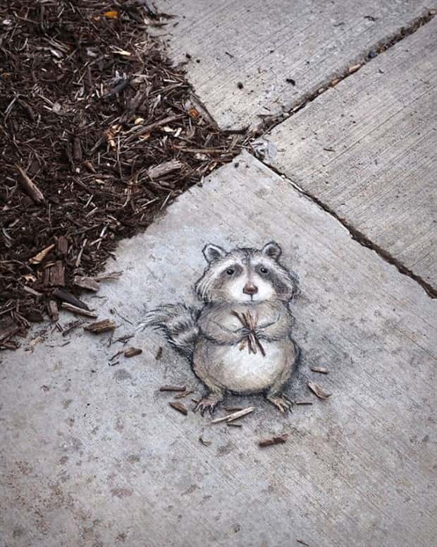 Amazing Sidewalk Creations by David Zinn (27 photos)