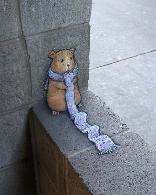 Amazing Sidewalk Creations by David Zinn (27 photos)