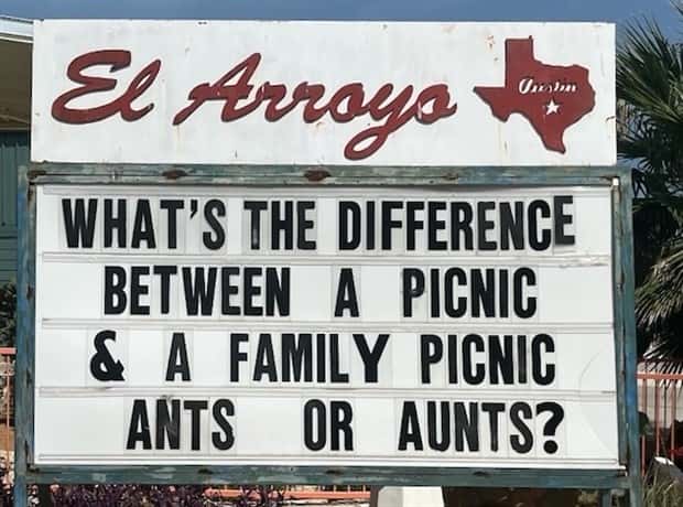 Wild Wisdom from El Arroyo Signs (25 photos)