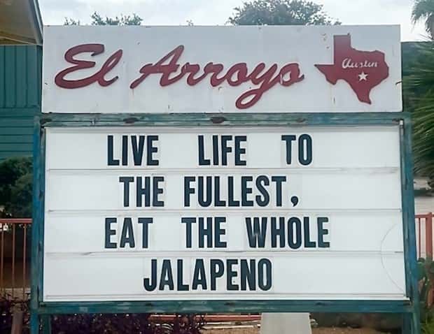 Wild Wisdom from El Arroyo Signs (25 photos)