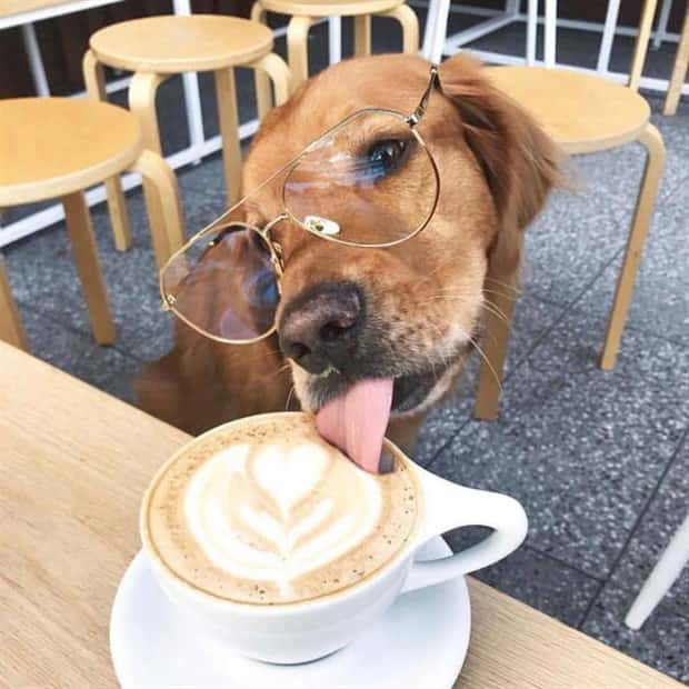 funny animals 4 1 Get Ready for Funny Animals #398 (23 photos)