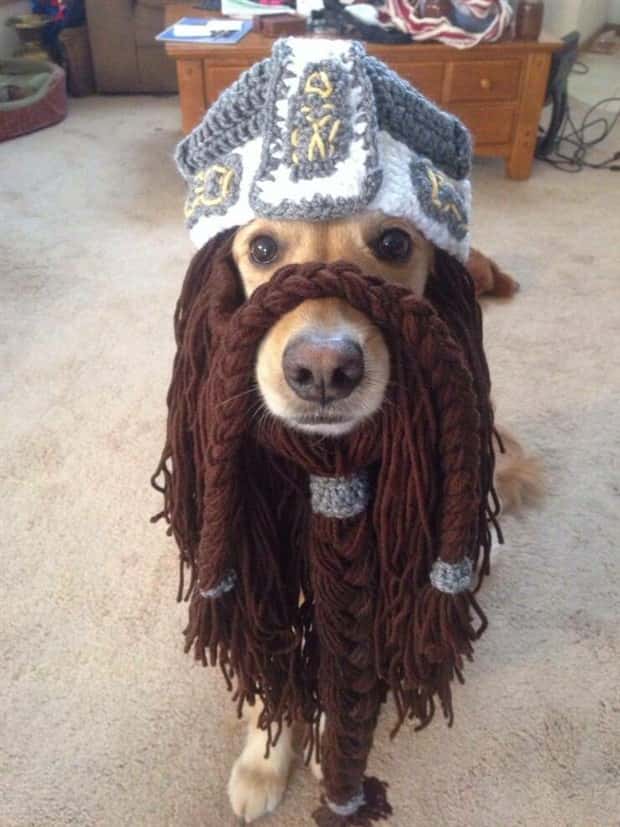 Get Ready for Funny Animals #397 (21 photos)