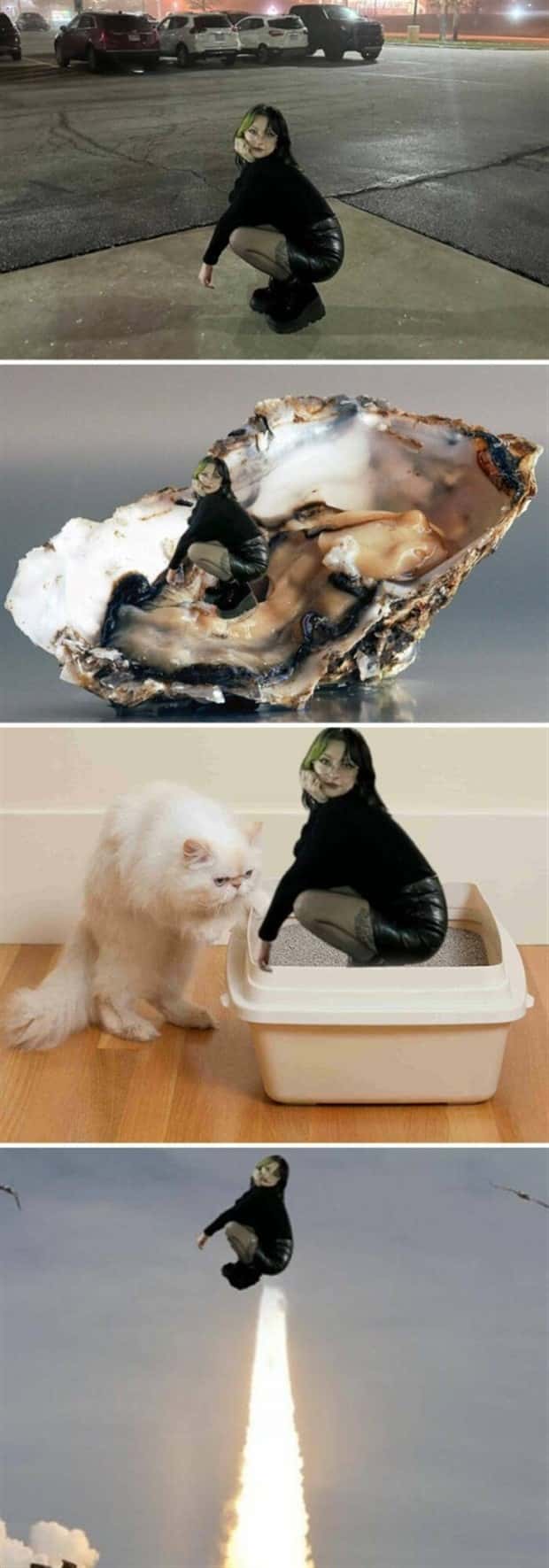 20 Absurdly Funny Photoshop Creations (20 photos)