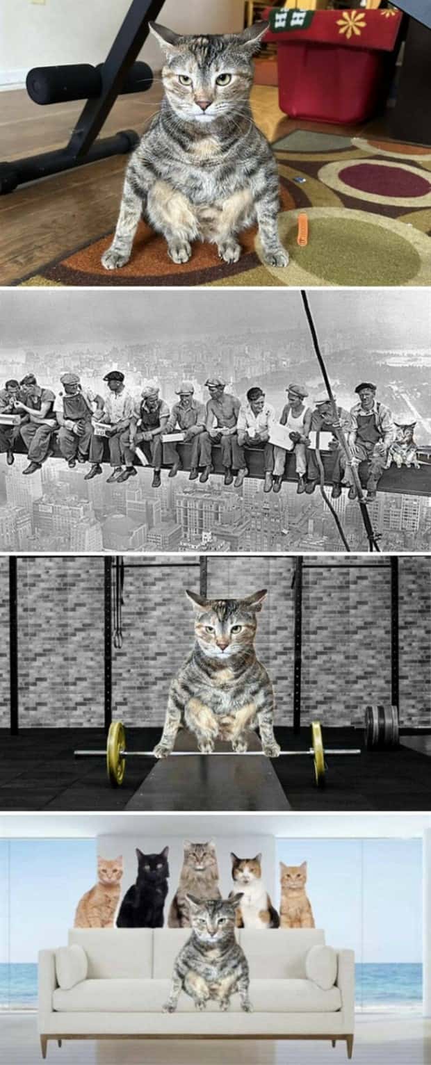 20 Absurdly Funny Photoshop Creations (20 photos)