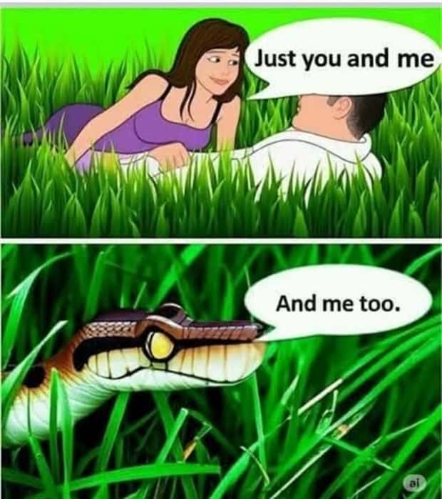 funny pics and memes 1 4 Funny Pics and Memes to Make You Laugh #170 (22 photos)