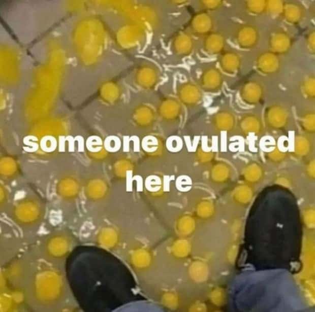 funny pics and memes 13 1 Funny Pics and Memes to Make You Laugh #167 (26 photos)