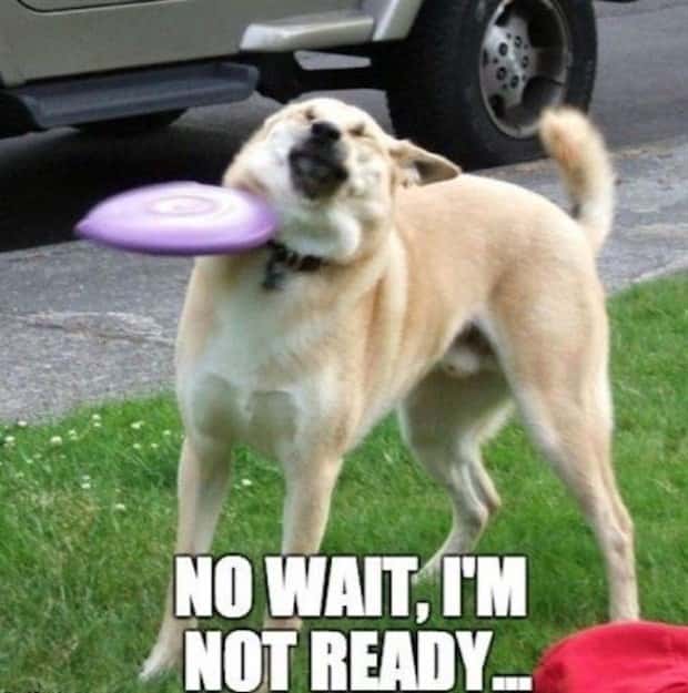 funny pics and memes 13 3 Funny Pics and Memes to Make You Laugh #169 (20 photos)