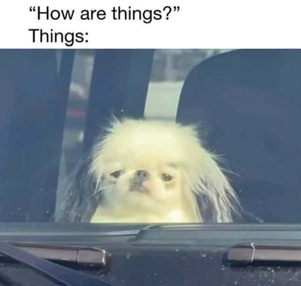 funny pics and memes 14 2 Funny Pics and Memes to Make You Laugh #168 (21 photos)