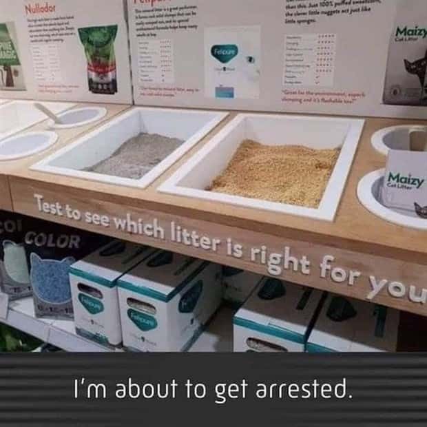 funny pics and memes 15 3 Funny Pics and Memes to Make You Laugh #169 (20 photos)