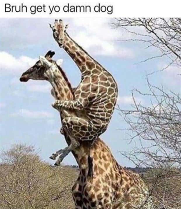 funny pics and memes 15 Funny Pics and Memes to Make You Laugh #166 (25 photos)