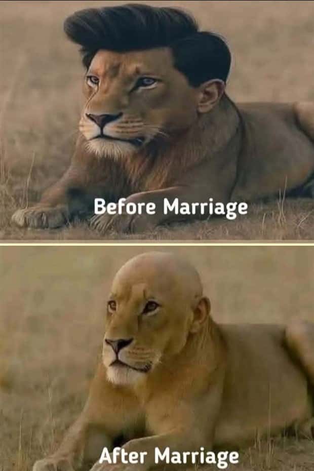 funny pics and memes 2 Funny Pics and Memes to Make You Laugh #166 (25 photos)