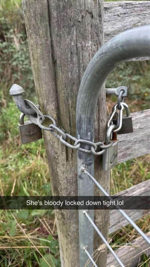 funny pics and memes 22 Funny Pics and Memes to Make You Laugh #166 (25 photos)