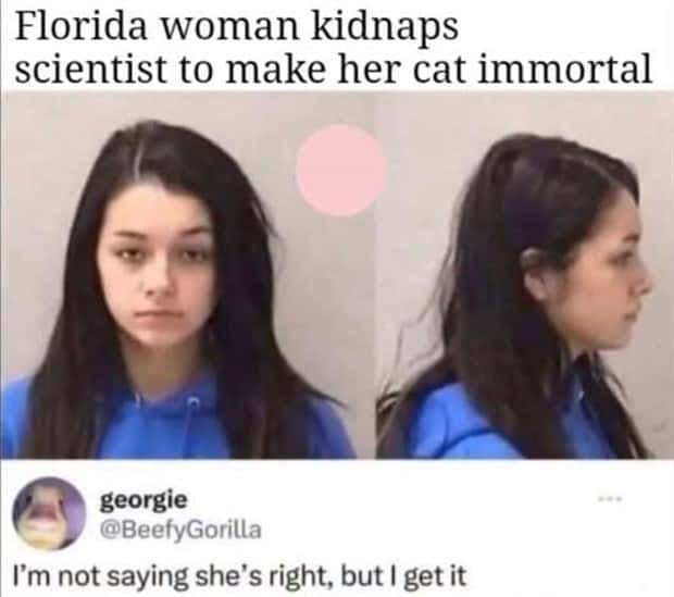 funny pics and memes 3 1 Funny Pics and Memes to Make You Laugh #167 (26 photos)