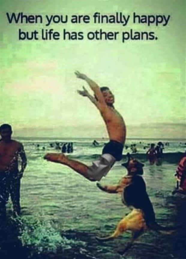 funny pics and memes 3 2 Funny Pics and Memes to Make You Laugh #168 (21 photos)