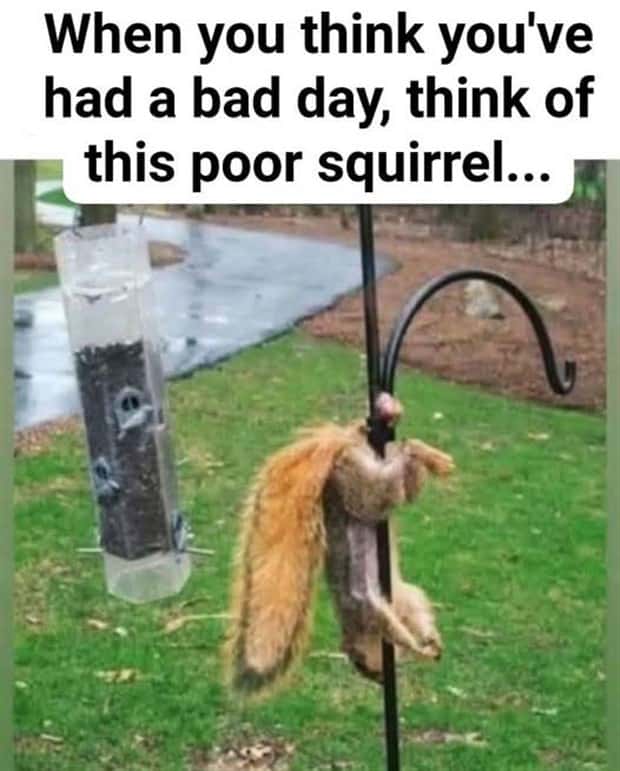 funny pics and memes 4 2 Funny Pics and Memes to Make You Laugh #168 (21 photos)