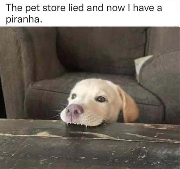 funny pics and memes 5 1 Funny Pics and Memes to Make You Laugh #167 (26 photos)