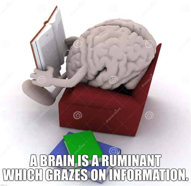 Funny Shower Thoughts That Sound Smart #168 (23 photos)