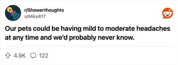 funny shower thoughts 2 2 Funny Shower Thoughts That Sound Smart #169 (24 photos)