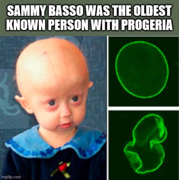 Cool and Interesting Facts #441 (20 photos)